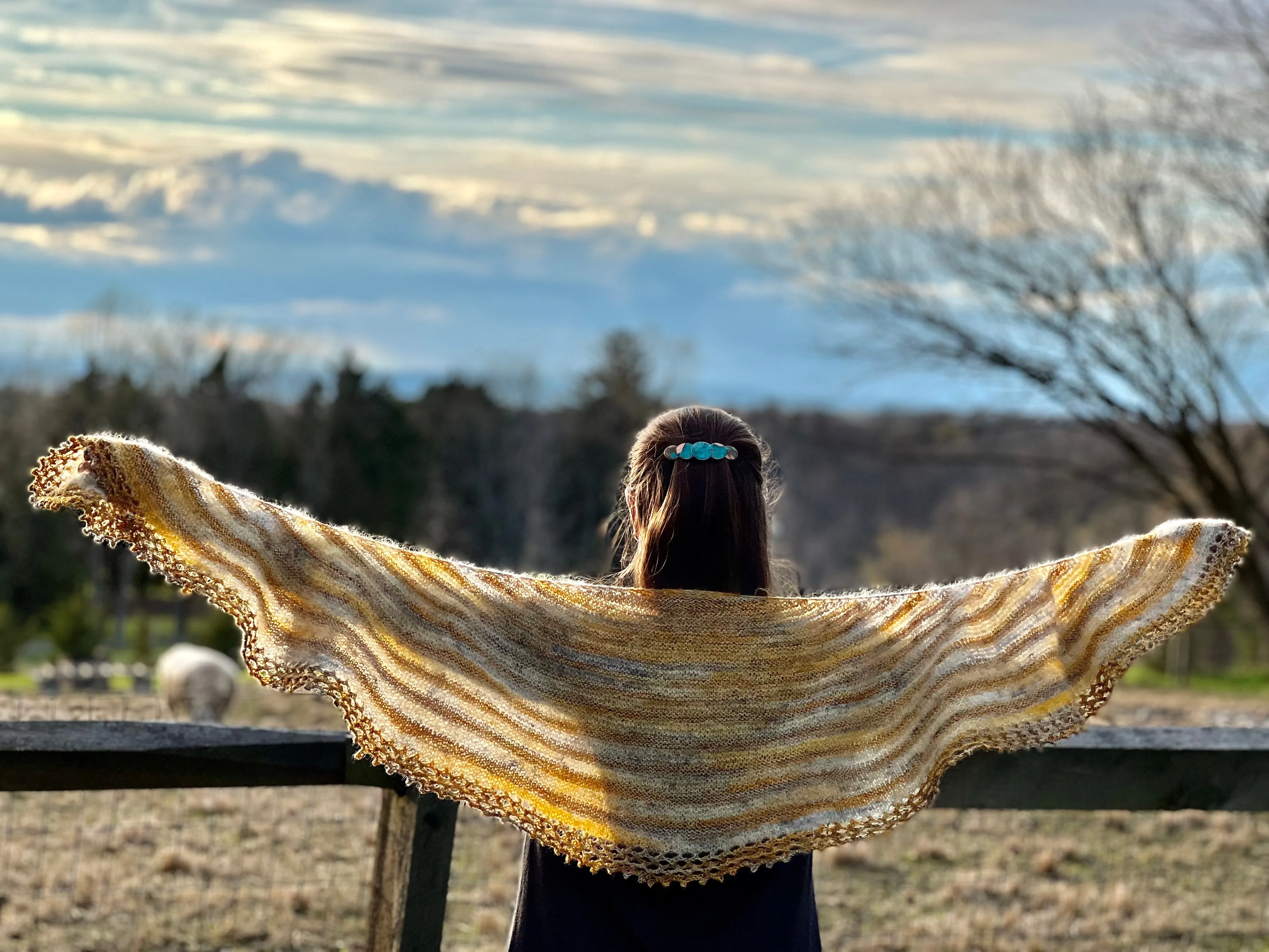 BeeScape Shawl Kit